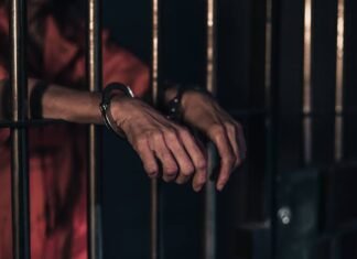 మేకల దొంగతనాలకు పాల్పడుతున్న ముఠా అరెస్ట్